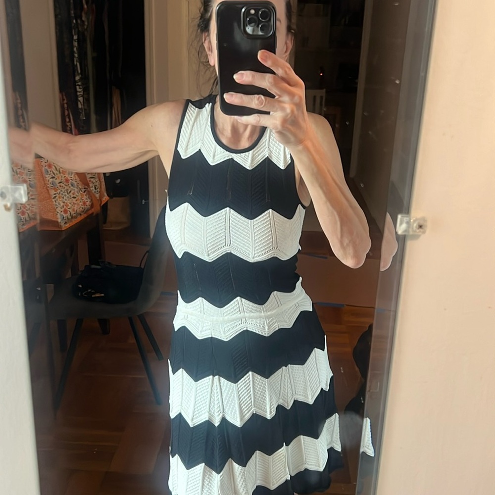 Gorgeous Black and White Flair Bottom Dress